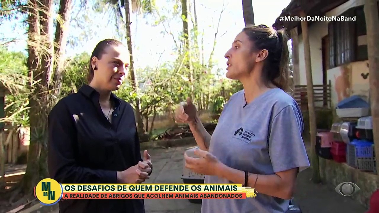 Guardiões do reino animal: novo quadro mostra a luta de quem defende os animais