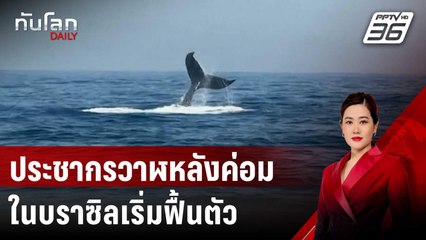 ประชากรวาฬหลังค่อมในบราซิลเริ่มฟื้นตัว | ทันโลก DAILY | 5 ก.ค. 67