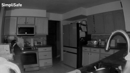 Perro ‘curioso’ provoca incendio al prender por error la cocina: todo quedó grabado