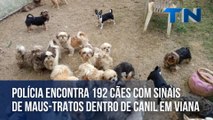 Polícia encontra 192 cães com sinais de maus-tratos dentro de canil em Viana