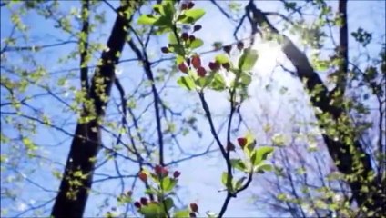 Demain est un autre jour