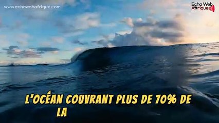Quelques faits étonnants sur l'océan