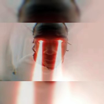 Films in 2024 : Space Cadet : summary, suggestions, criticism.