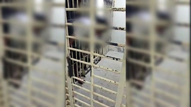 Preso tenta fugir de delegacia e fica entalado em cela