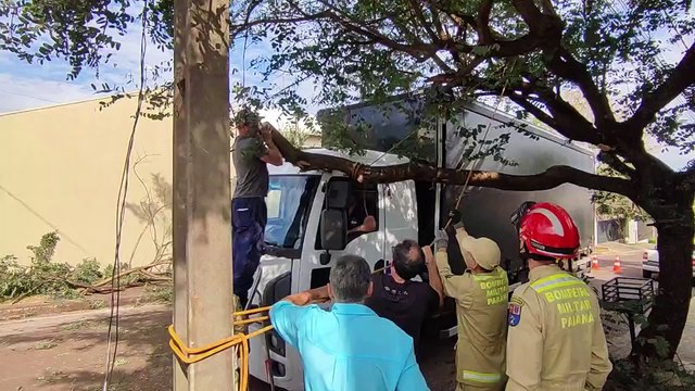 Caminhão enrosca em galho de árvore no Bairro Canadá