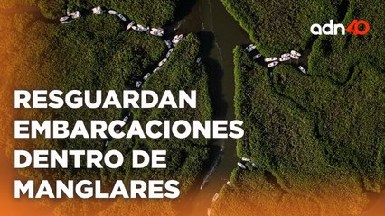 Resguardaron embarcaciones dentro de los manglares para evitar daños por la llegada de "Beryl"