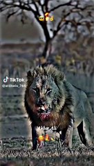 VID-20240514-WA0013