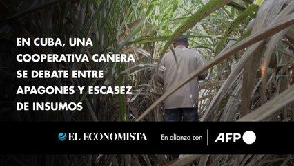 En Cuba, una cooperativa cañera se debate entre apagones y escasez de insumos