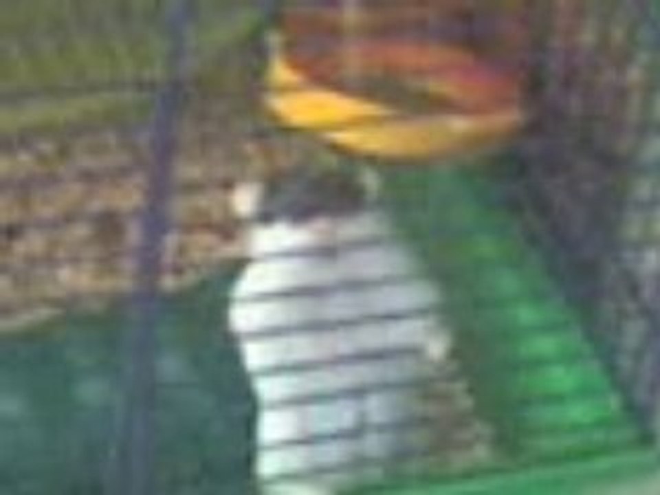 jean-paul l'hamster fait un coup double