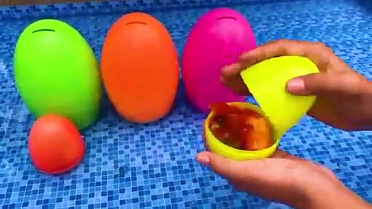 Surprise_eggs_contain_So_cute_ducklings_koi_fish_c