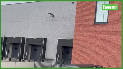 La découpe de viande en Hesbaye s’exporte aux USA