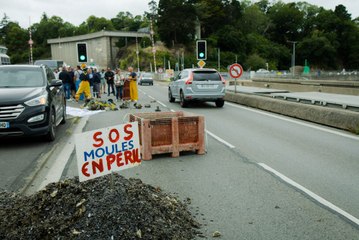 Barrage de la Rance : des producteurs de moules bloquent la circulation.