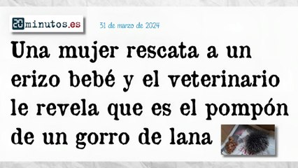 Recortes de prensa 42