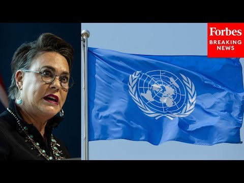 Harriet Hageman Proposes Amendment To Defund UN International Organization For Migration