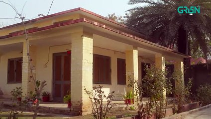 Pas e Deewar Episode 12   Ali Rehman   Noor Zafar Khan   Arsalan Naseer [ ENG CC ] Green TV