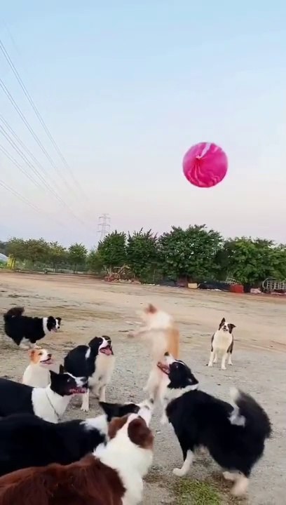 Best funny movements #viral