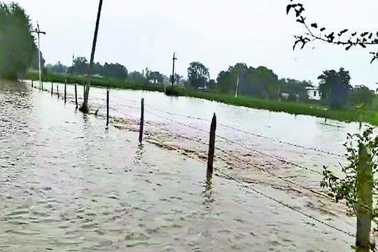 खैरथल-तिजारा जिले में झमाझम बारिश से जलभराव : बारिश से रोड, स्कूल, घरों में भरा पानी... देखे वीडियो ....