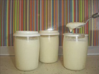 Yaourts maison