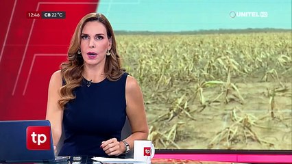 San Julián: El ganado pierde peso a causa de la sequía, denuncian productores