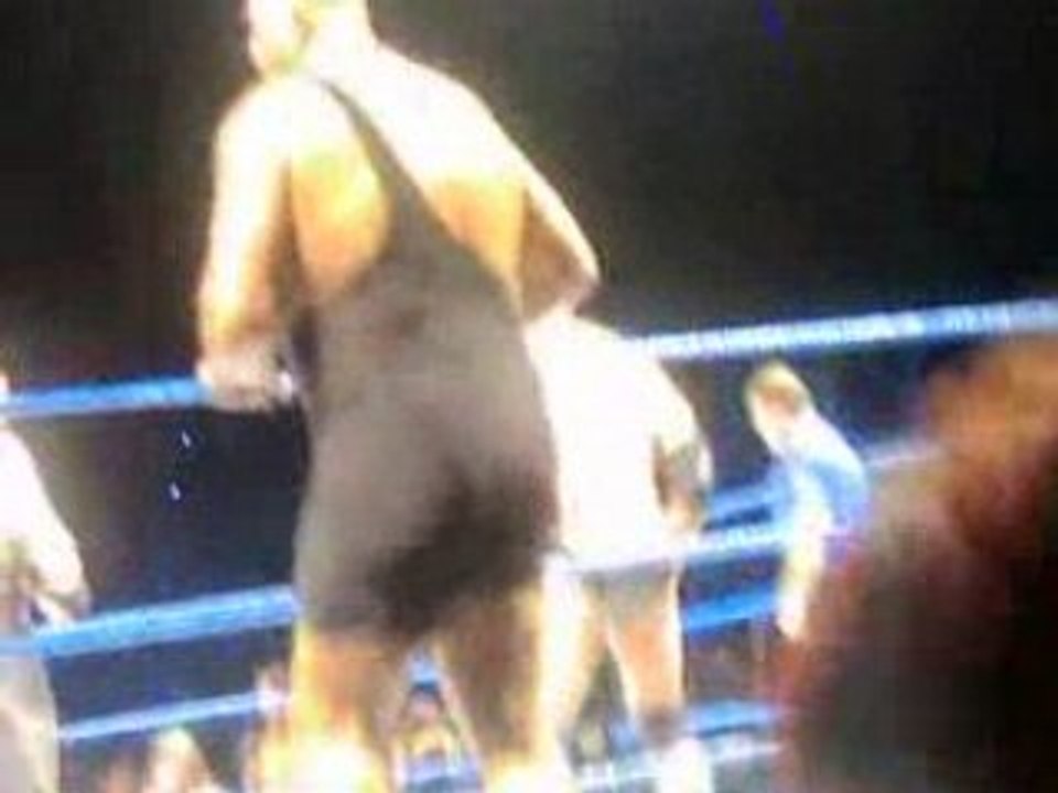 WWE Wrestlemania 2008 Revenge Tour Video 11