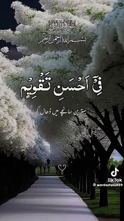 Surah al Tein❤️