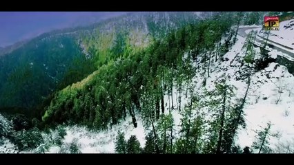 Kamli (Official Video) _ Amir Niazi _ Tp Gold