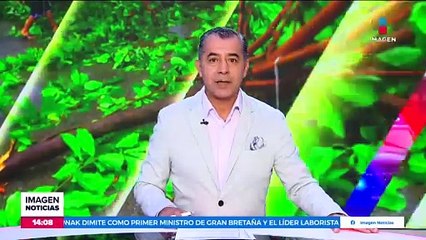 Habitantes de Yucatán agregan sus datos a tinacos ante la llegada de Beryl