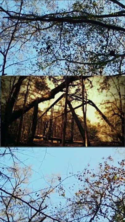 Spirits in the Swamp | Bride of Bellamy Bridge