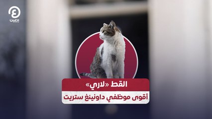 القط «لاري» أقوى موظفي داونينغ ستريت