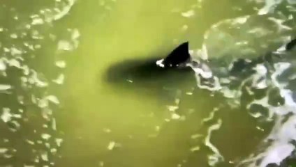 X2Twitter.com_1809015838336503810(540p)