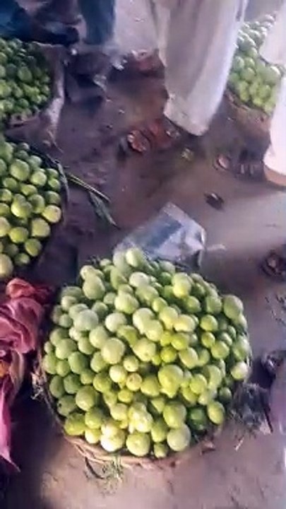 video_20240625_072239