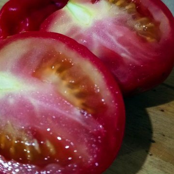 - Andrés de Jesús Vélez Franco- Las Mejores Películas de Acción de 2024 (PARTE 1) (@AndresdeJesus90)