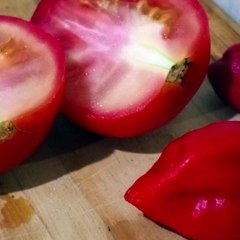 - Andrés de Jesús Vélez Franco- Mortal Kombat: Armagedón (PARTE 2) (@AndresdeJesus90)