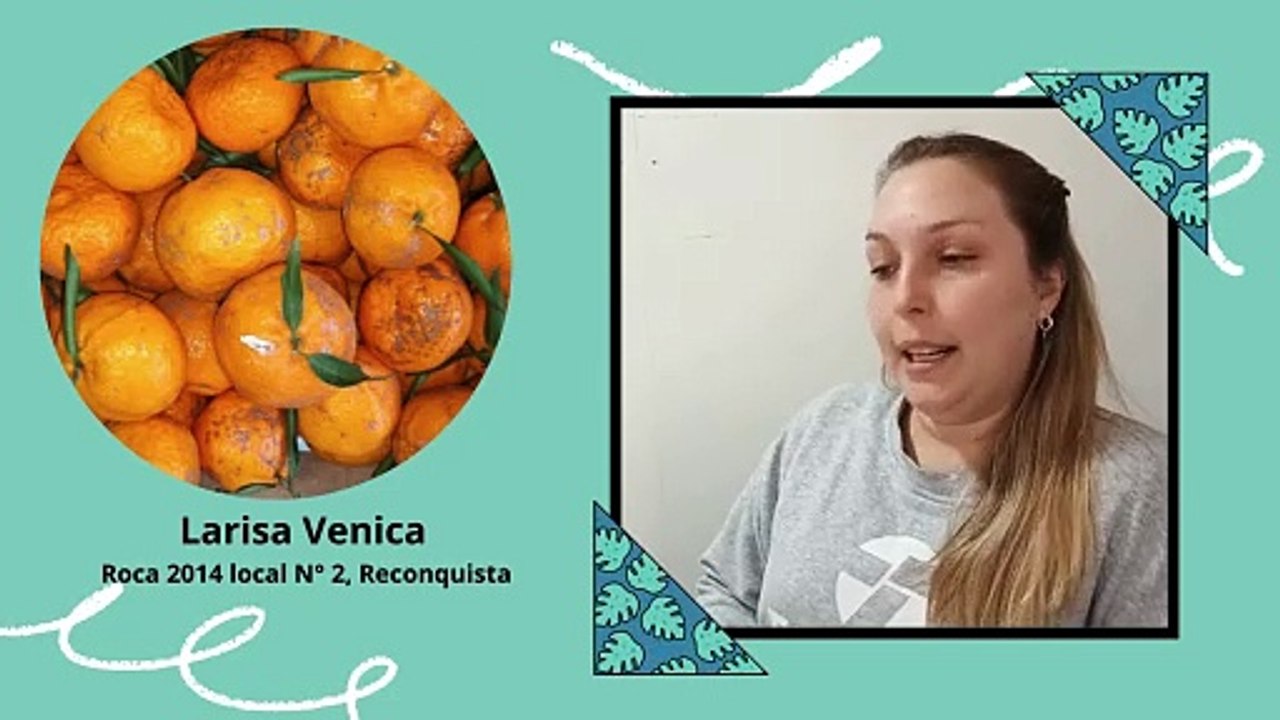 Avicola Venica