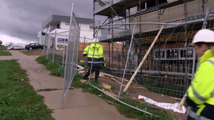 Former employee tales WorkSafe ACT to court alleging he was sacked after complaining about regulators own workplace culture