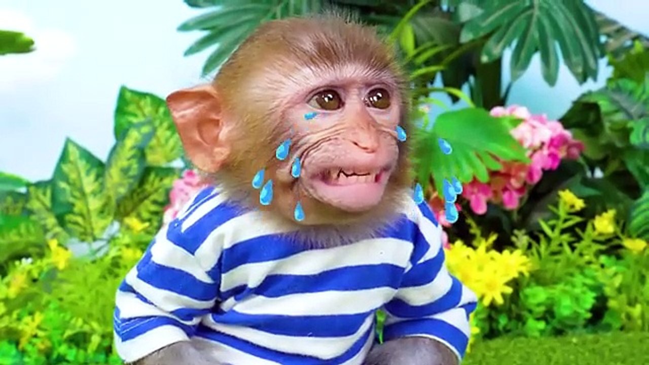 Monkey_Baby_Bon_Bon_eats_Sweet_Cola_Jelly_with_duc