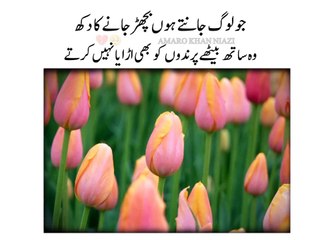 ❤❤Muhabbat mein bicharh jany waloun kiliay so line