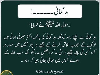 رسول اللہ صلی اللہ علیہ وآلہ وسلم نے فرمایا کہ بدگمانی سے بچو 
