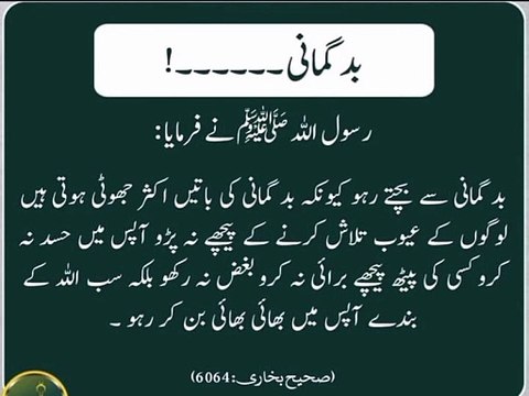 رسول اللہ صلی اللہ علیہ وآلہ وسلم نے فرمایا کہ بدگمانی سے بچو