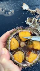 Discover What This Is and Whether It's Edible 🍽️