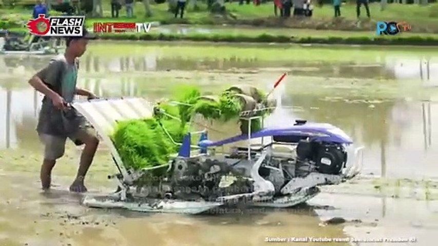 Presiden Jokowi Dan Ibu Iriana Lakukan Kunjungan Kerja Ke Bone, Tinjau Bantuan Pompa Dan Cek Pasar