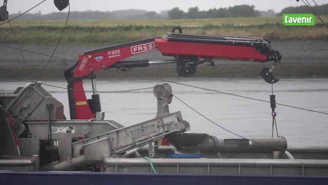 Inquiétudes des producteurs de moules de Zélande: elles seront bonnes mais peu nombreuses