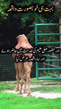 islamic story|prophet Muhammad saw story#islamicstories #prophetmuhammadstory