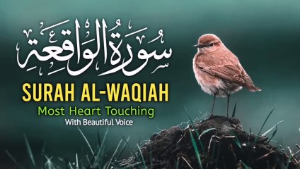 Surah waqiah | سورة الواقعة | Surah Waqiah with Urdu Translation – (سورة الواقعة)