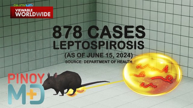 DOH, nagpaalala sa mga sakit na maaaring makuha ngayong tag-ulan | Pinoy MD