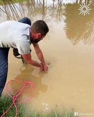 Kind man rescued this poor turtle from the pond