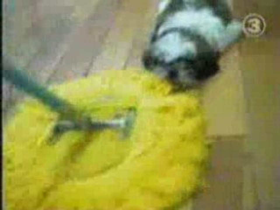chien Swifer