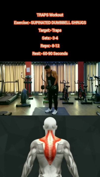 ❌ SUPINATED DUMBBELL SHRUGS ✔️  How can I increase my TRAPS size?  #heermlgangaputra #naturalbodybuilding #fitness #gym #workout #exercise #muscle #training #tips #viral #trending