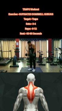 ❌ SUPINATED DUMBBELL SHRUGS ✔️ How can I increase my TRAPS size? #heermlgangaputra #naturalbodybuilding #fitness #gym #workout #exercise #muscle #training #tips #viral #trending
