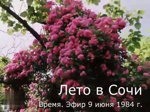 Лето в Сочи. Время. Эфир 9 июня 1984 г.